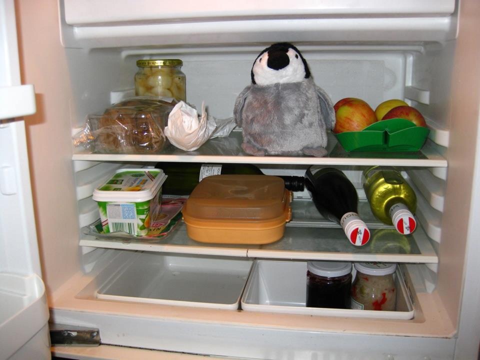 Der Pinguin und ich