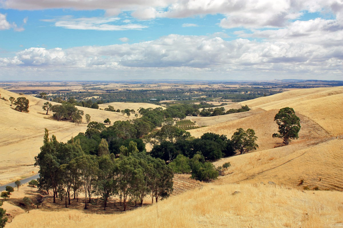 Barossa Valey