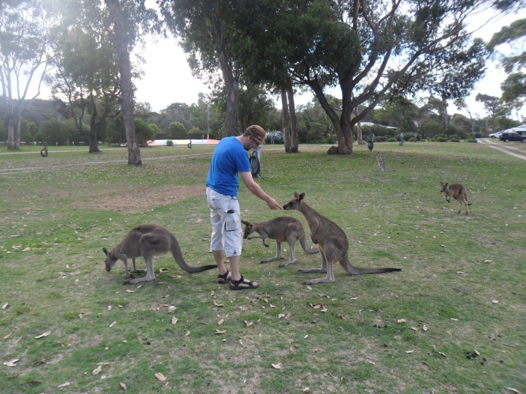 From Sydney to Melbourne
